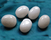 WHITE SHAKTI